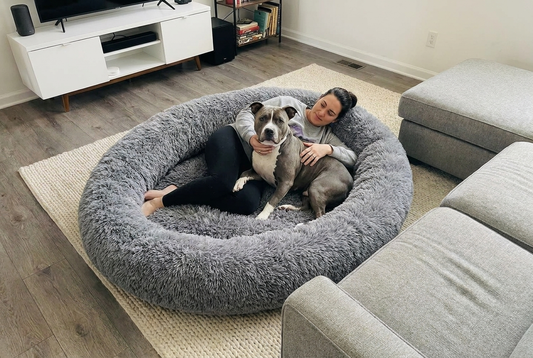 Nomi Nest Gray